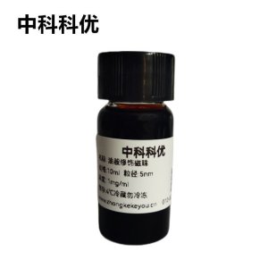 中科科优  油胺修饰磁性纳米颗粒 溶液固体粉末 多规格