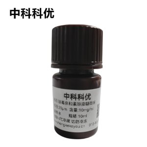 中科科优 链霉亲和素琼脂糖微球 SA修饰琼脂糖凝胶微球 多尺寸定制