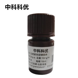 中科科优 生物素琼脂糖微球 生物素修饰琼脂糖凝胶微球 多尺寸定制 