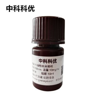 中科科优 PE磁性纳米颗粒  聚乙烯磁性微球