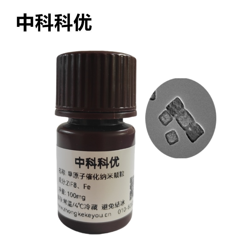 中科科优 单原子催化纳米颗粒 
