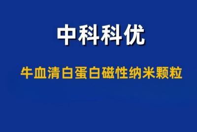 牛血清白蛋白磁性纳米颗粒BSA@Fe3O4的作用。