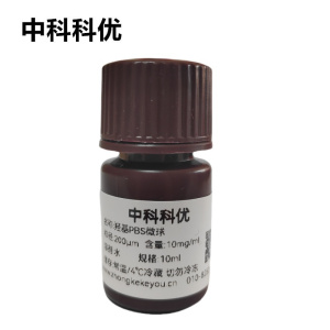 中科科优 羟基PBS微球 聚丁二酸丁二醇酯聚合物微球  可降解